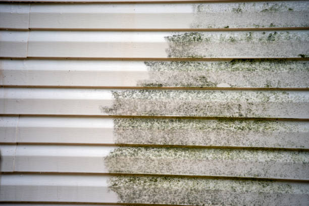 Best Shed Removal  in Garland, NC